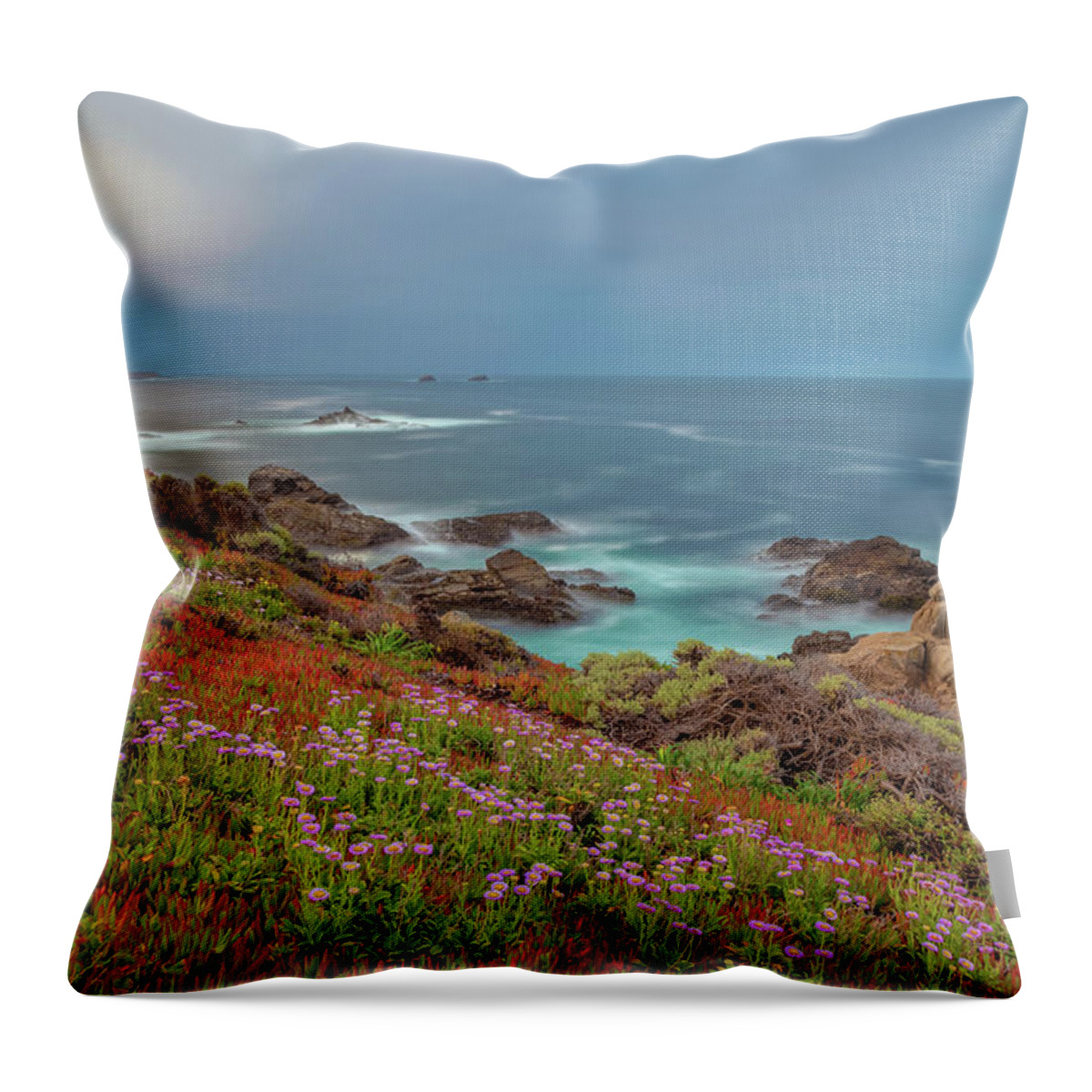 Landscape Throw Pillow featuring the photograph Welcome Spring by Jonathan Nguyen