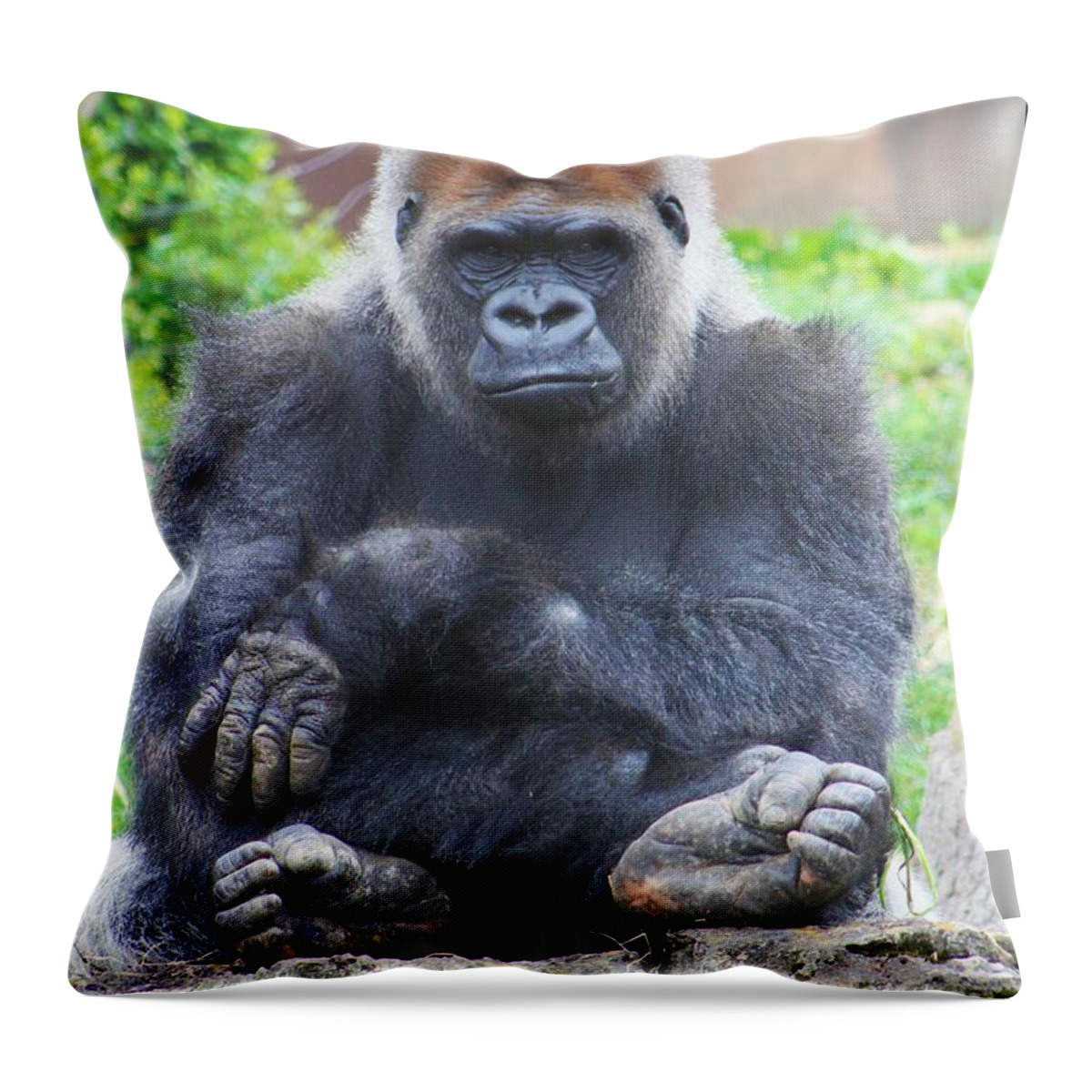 Western Lowland Gorilla Full Body Throw Pillow by Brittney Powers - Pixels