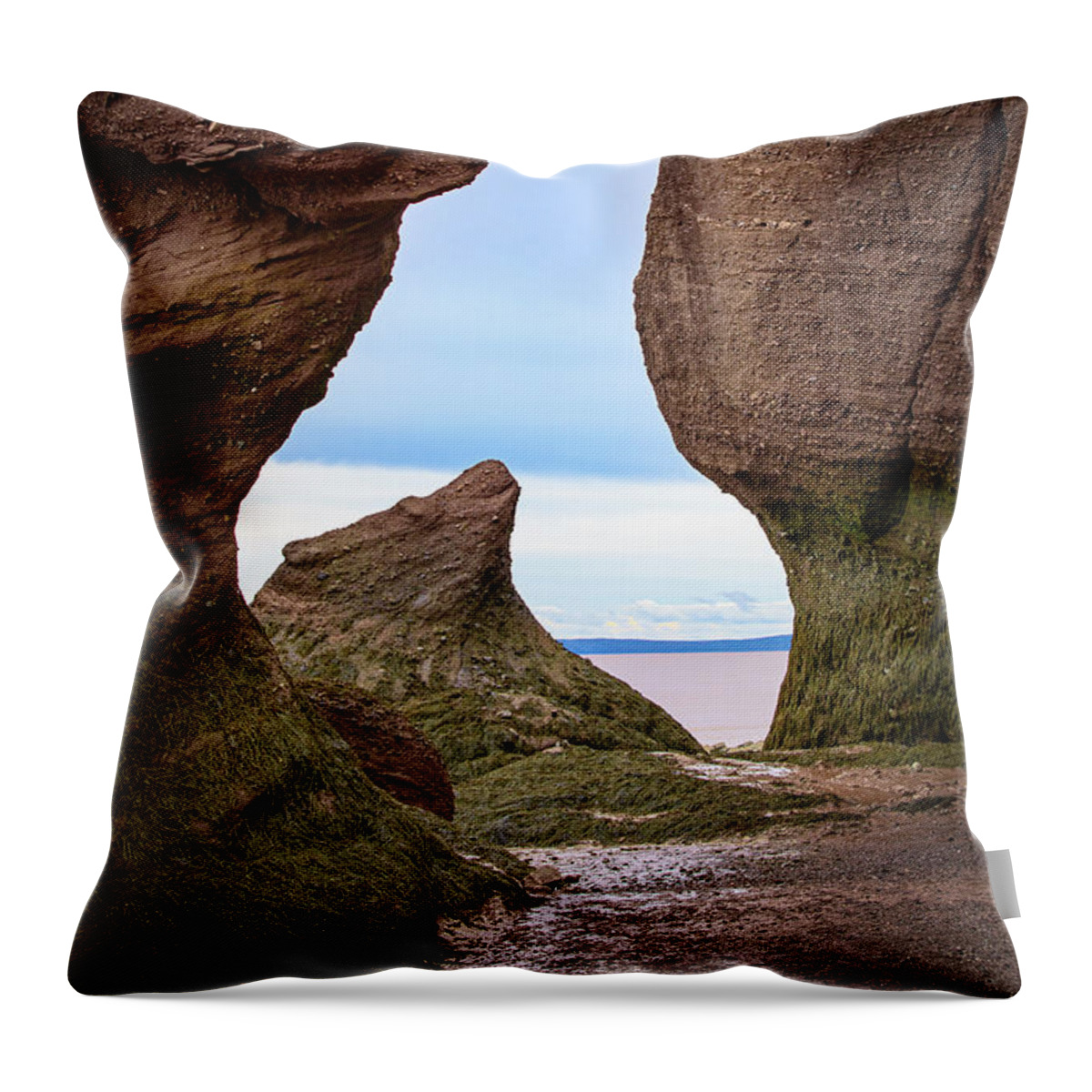 Bay Of Fundy Throw Pillow featuring the photograph Whale Tale by Manpreet Sokhi