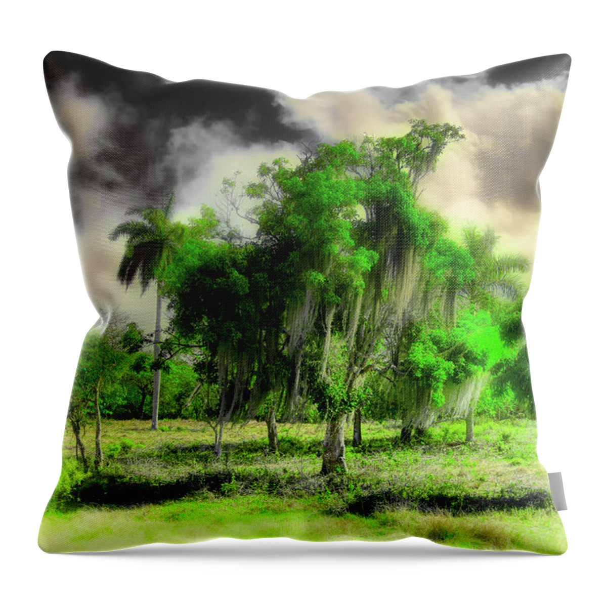 Clouds Throw Pillow featuring the photograph What would it be if we ever stopped the wind by Micah Offman