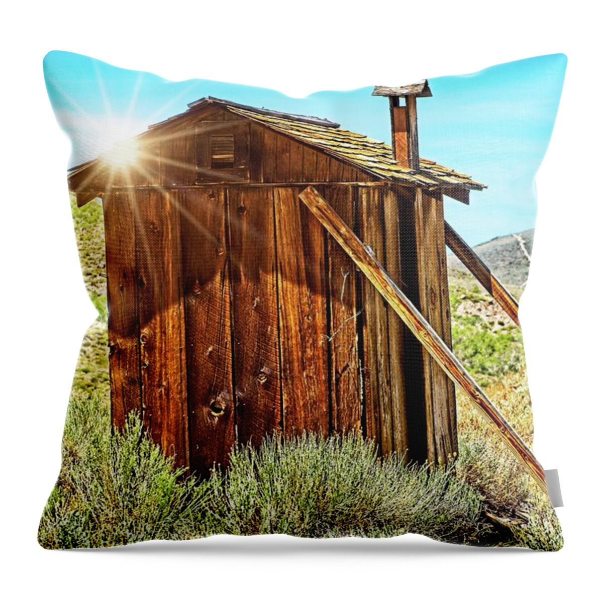 Abandoned Throw Pillow featuring the photograph When You Gotta Go by David Desautel