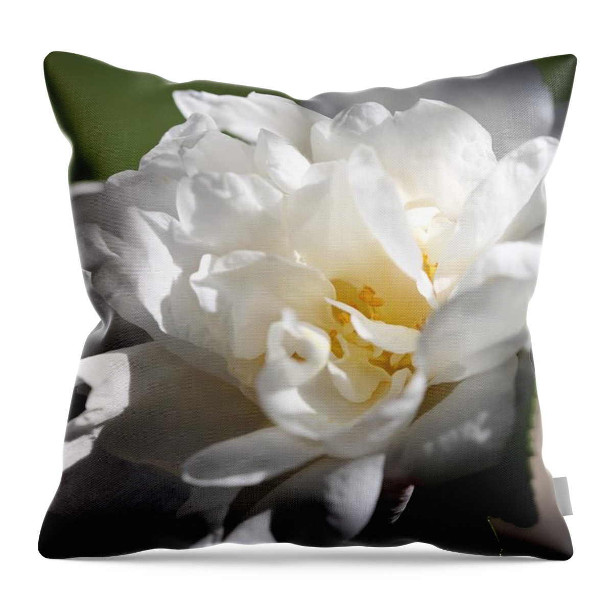 Camellia Throw Pillow featuring the photograph White Camellia III by Mingming Jiang