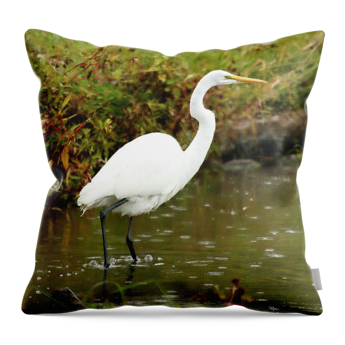 Animal Throw Pillow featuring the photograph White Egret by Lens Art Photography By Larry Trager