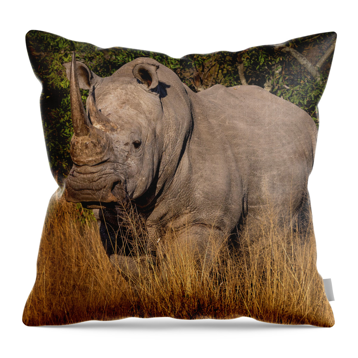 Rhino Throw Pillow featuring the photograph White Rhino by Elvira Peretsman