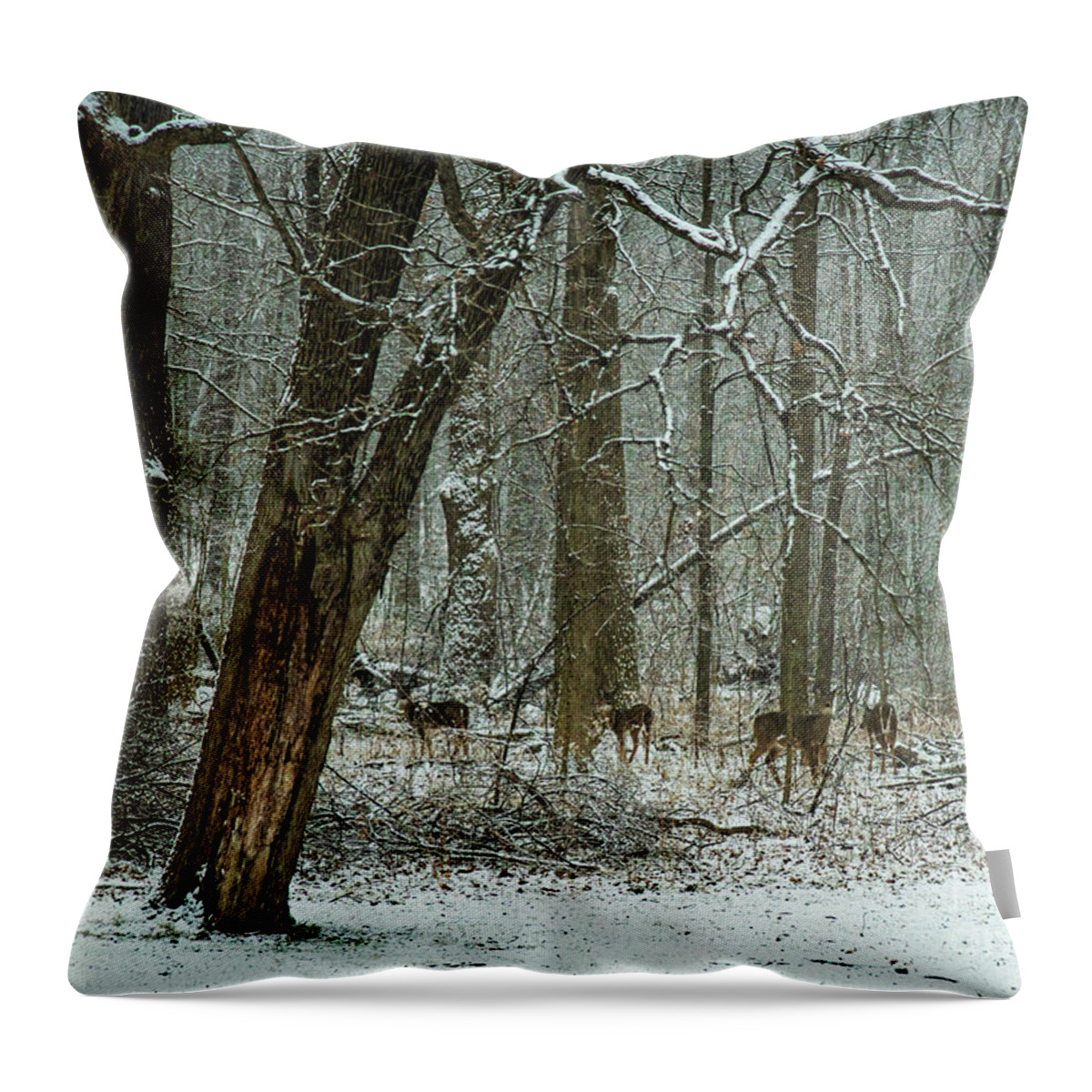 White-tailed Deer Throw Pillow featuring the photograph White-tailed Deer on a Snowy Day in the Forest by Sandra Rust