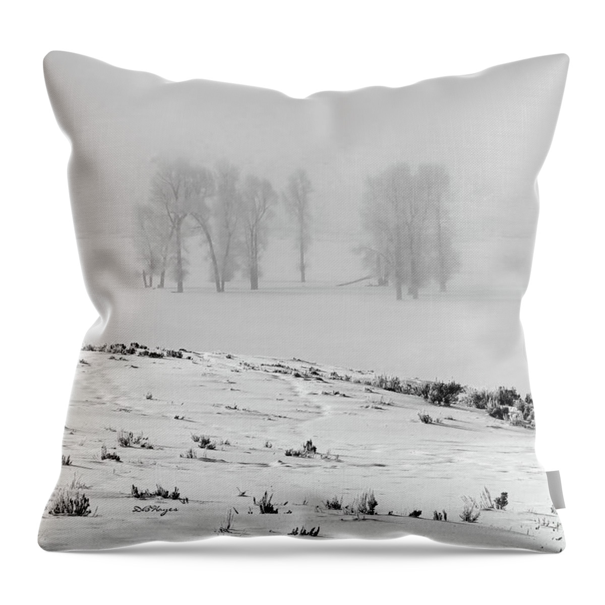 Nature Throw Pillow featuring the photograph Whiteout by DB Hayes