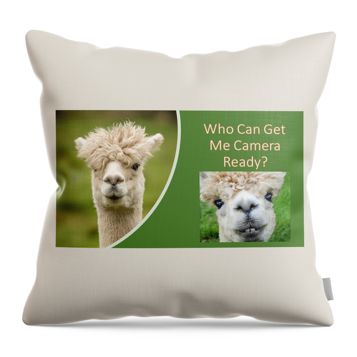 Alpaca Throw Pillow featuring the photograph Who Can Get Me Camera Ready by Nancy Ayanna Wyatt