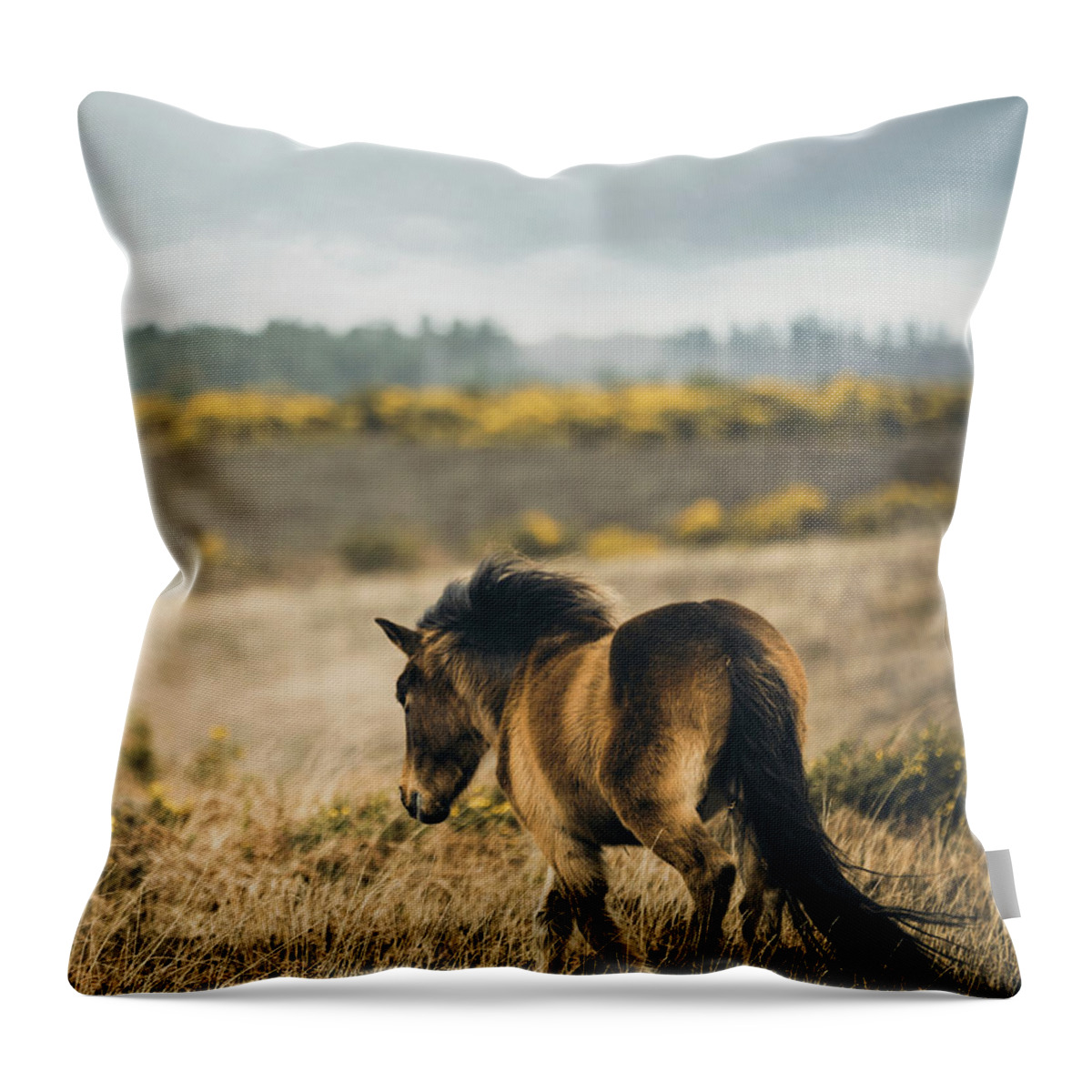 Photographs Throw Pillow featuring the photograph Wild - Horse Art by Lisa Saint