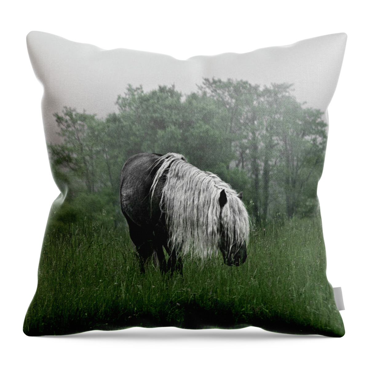 Grayson Highlands Ponies Grayson Highlands Throw Pillow 16x16 Multicolor