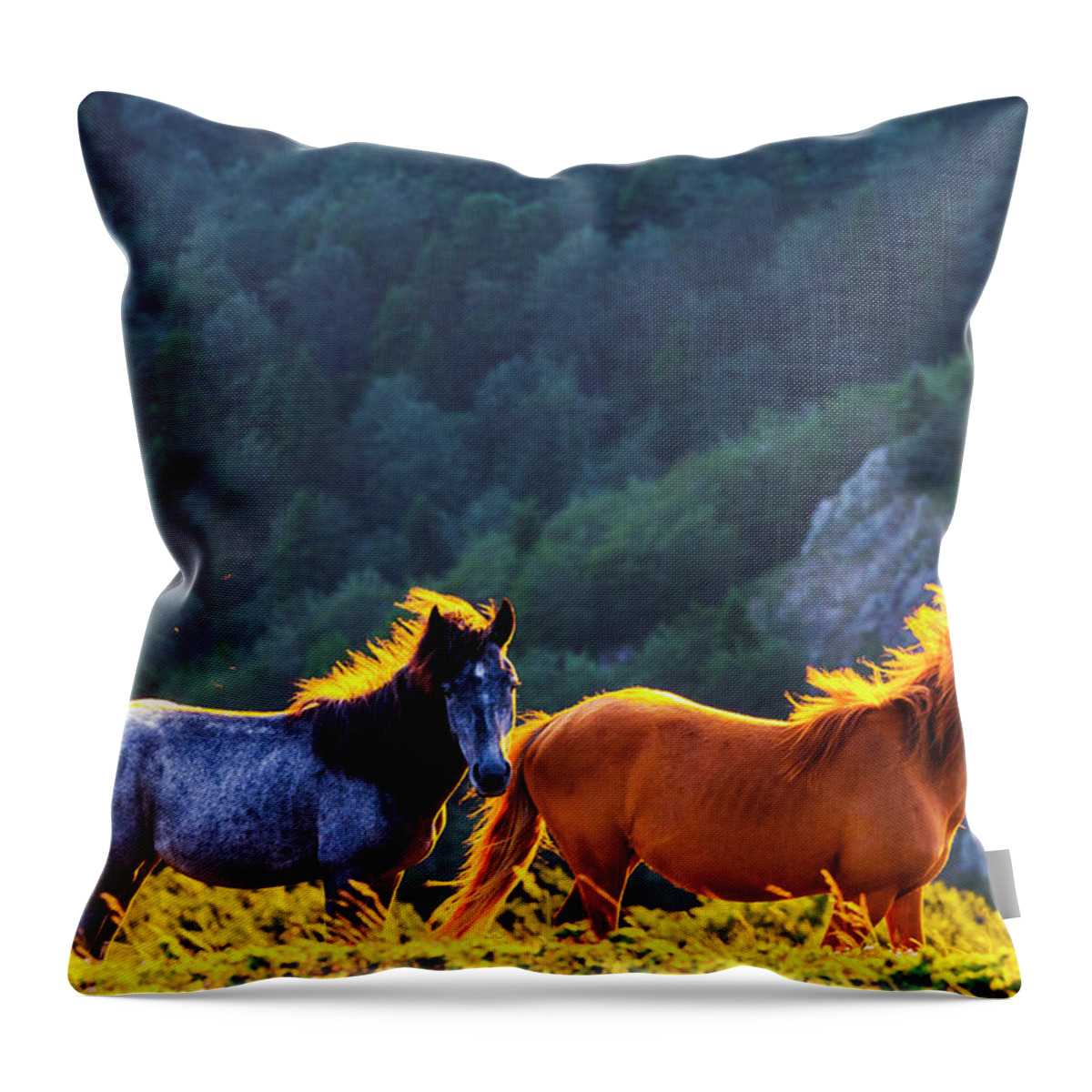 Balkan Mountains Throw Pillow featuring the photograph Wild Horses by Evgeni Dinev