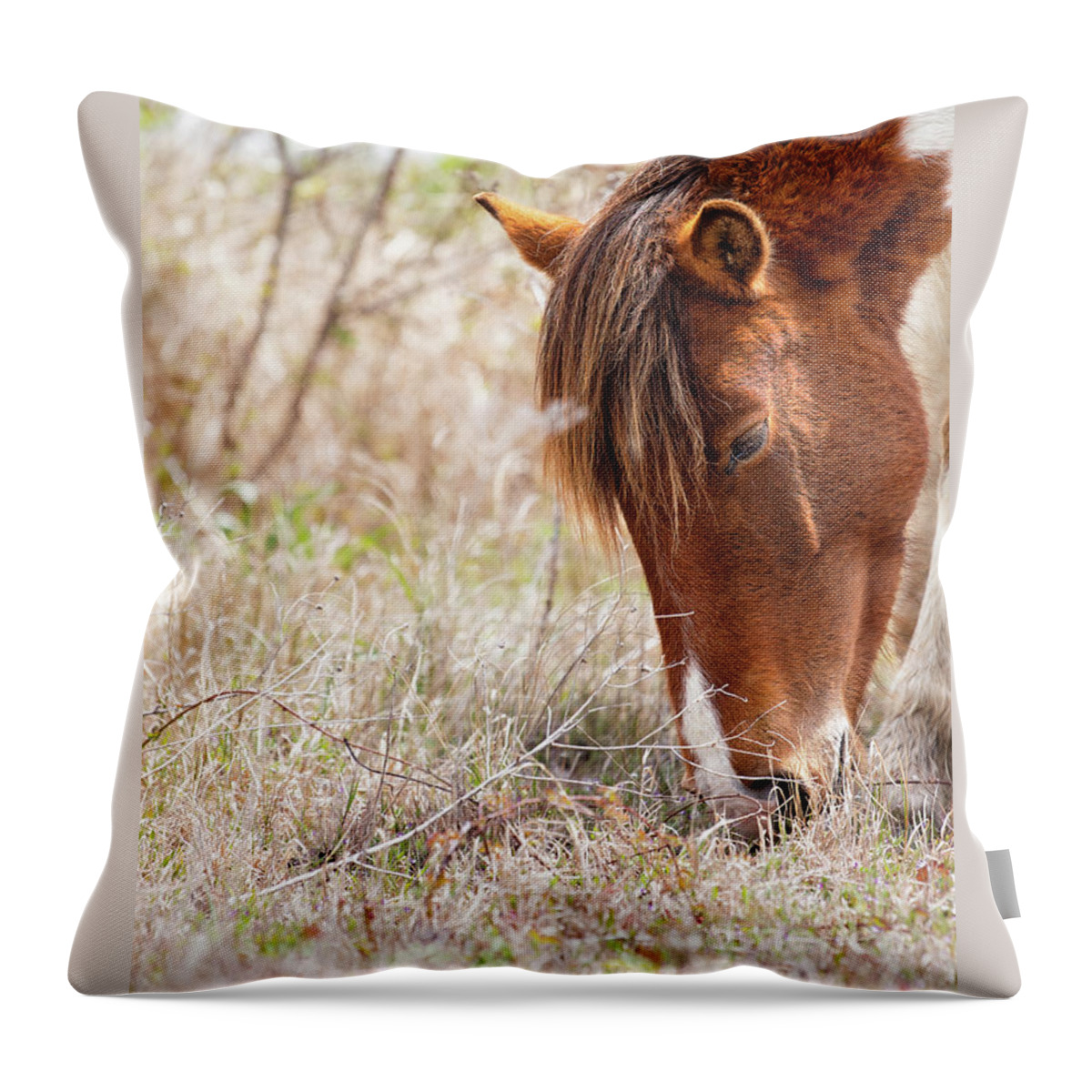 Pinto Horse Throw Pillow featuring the photograph Wild Pinto - Spotted Horse by Rehna George