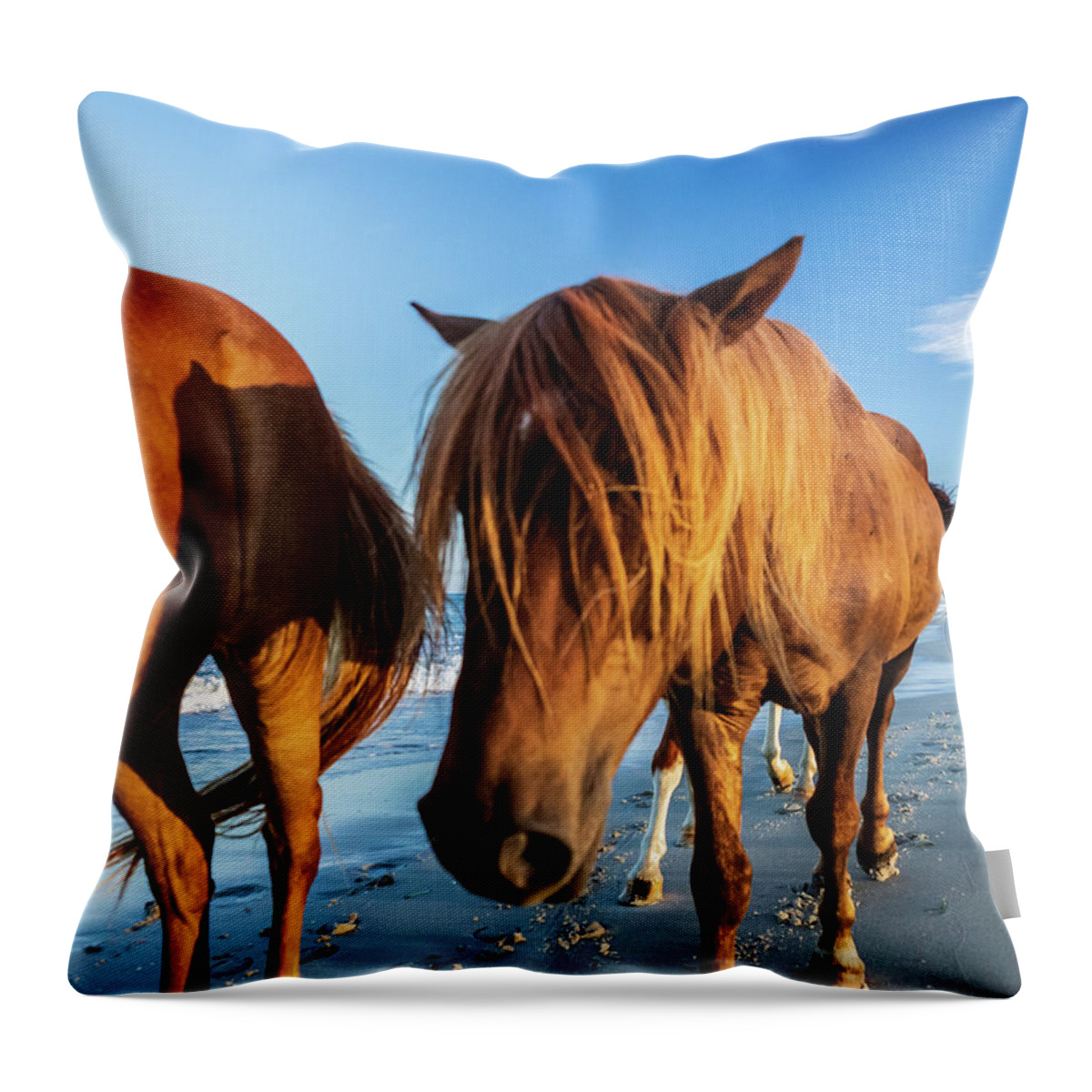 5-places Throw Pillow featuring the photograph Wild Pony Head Shot Assateague Island by Louis Dallara