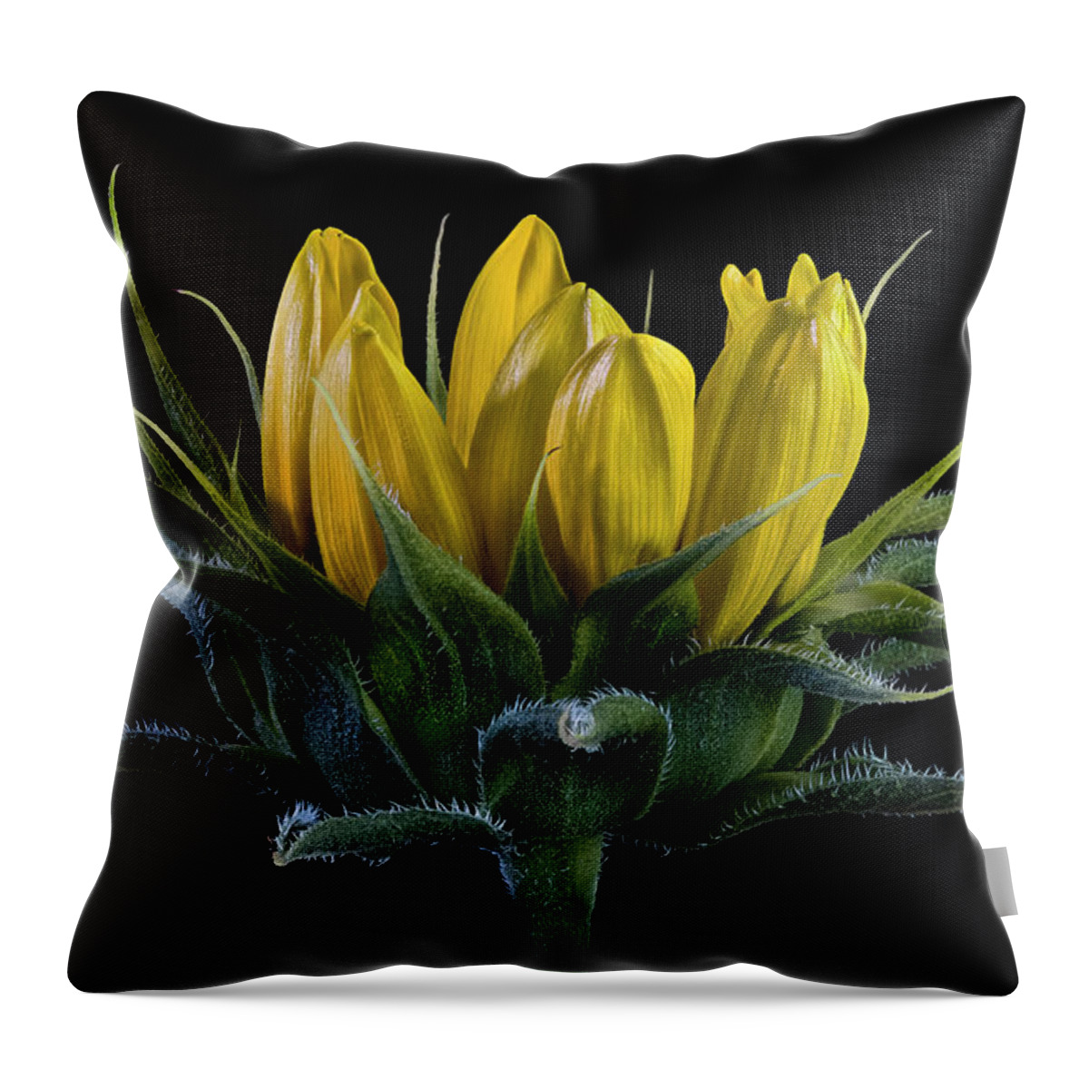 Wild Sunflower Bud Throw Pillow featuring the photograph Wild Sunflower Bud by Endre Balogh