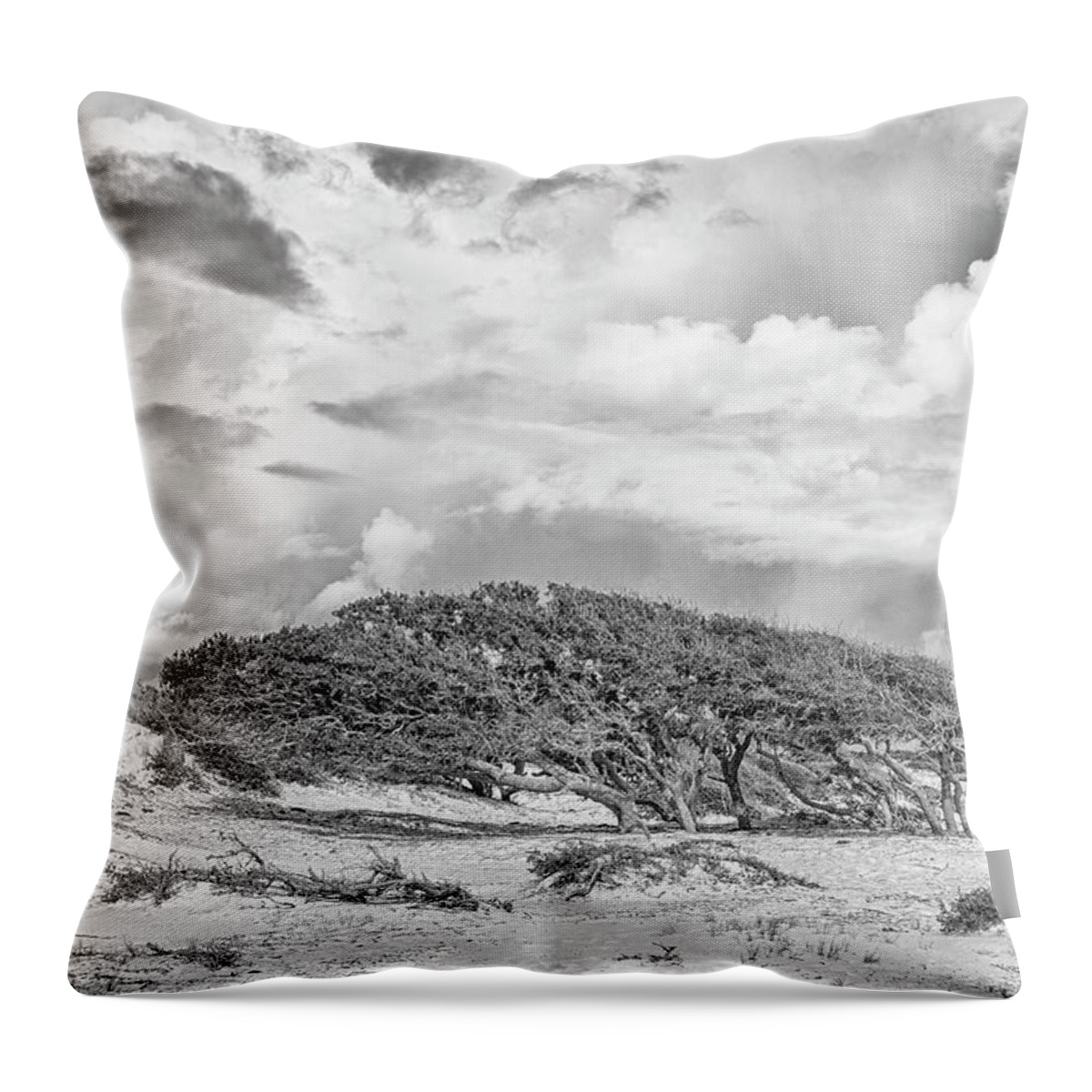 Live Oak Throw Pillow featuring the photograph Wind Swept Live Oaks - Cedar Island North Carolina by Bob Decker