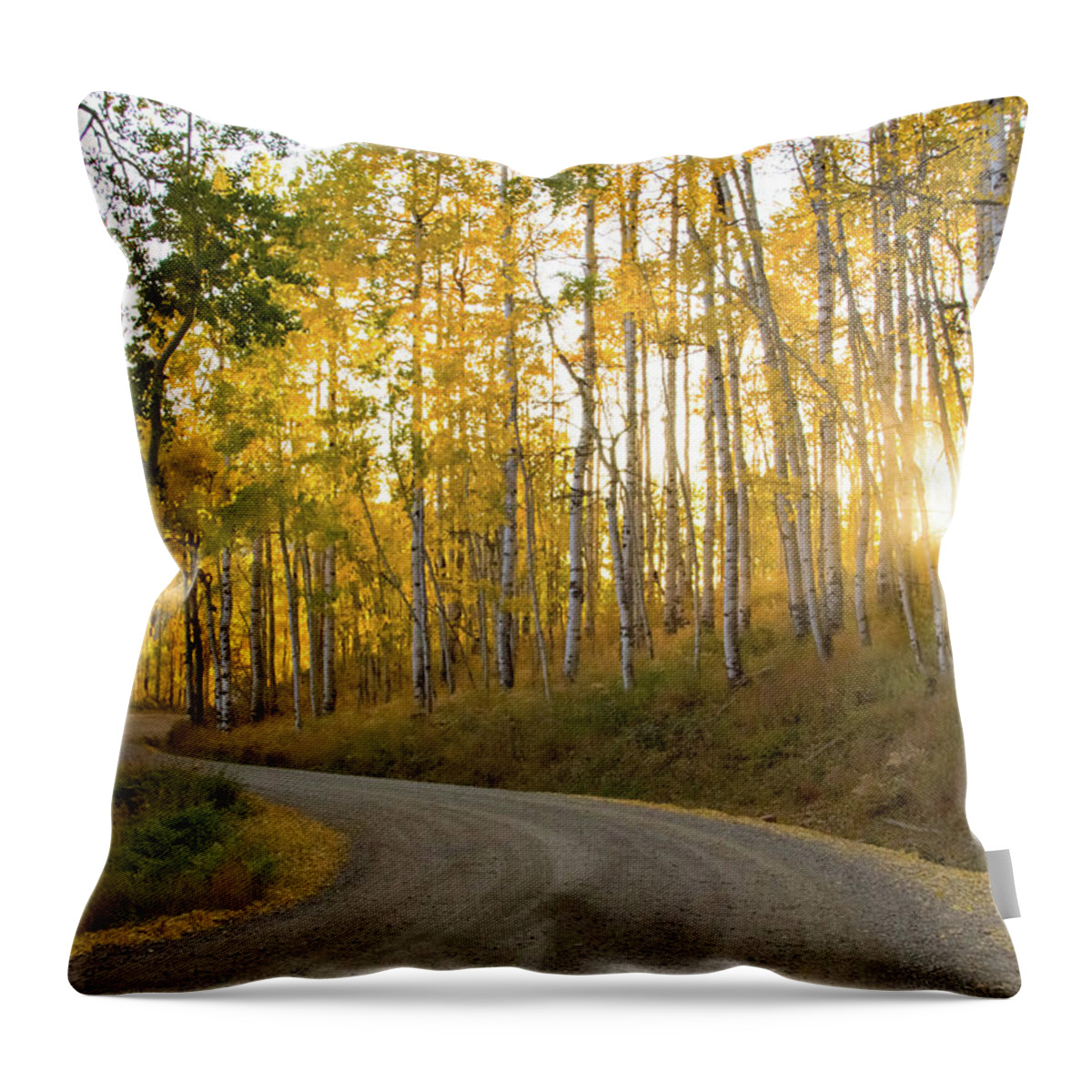 Colorado Throw Pillow featuring the photograph Winding Road by Wesley Aston