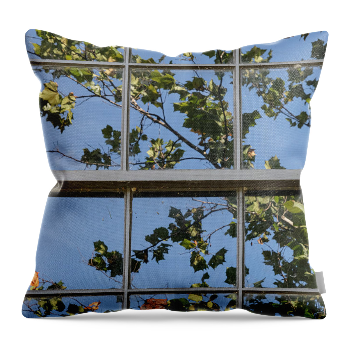 Window Throw Pillow featuring the photograph Window Time by Tony Locke