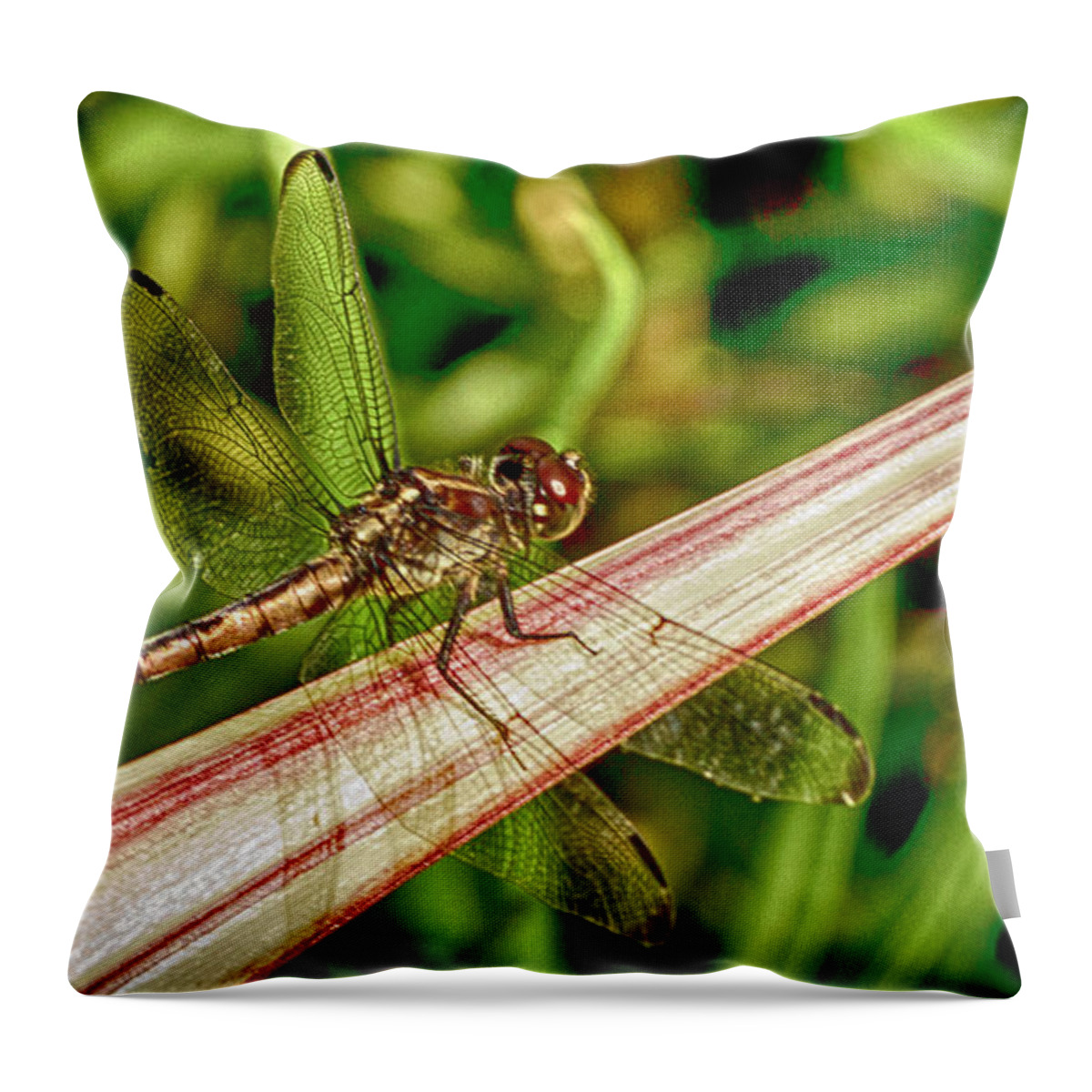 Dragonfly Throw Pillow featuring the photograph Winged Dragon by Bill Barber