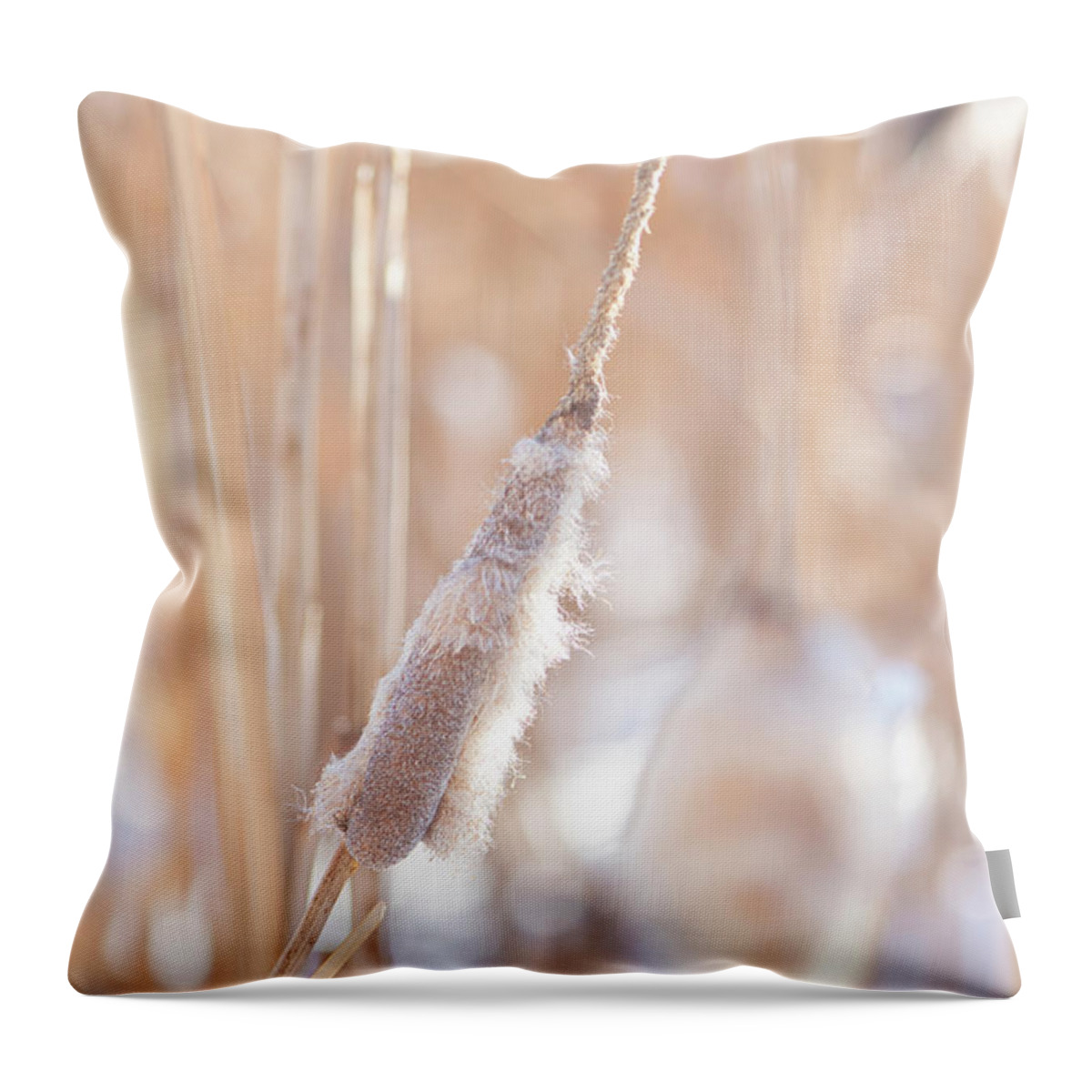 Winter Throw Pillow featuring the photograph Winter Cattails by Karen Rispin