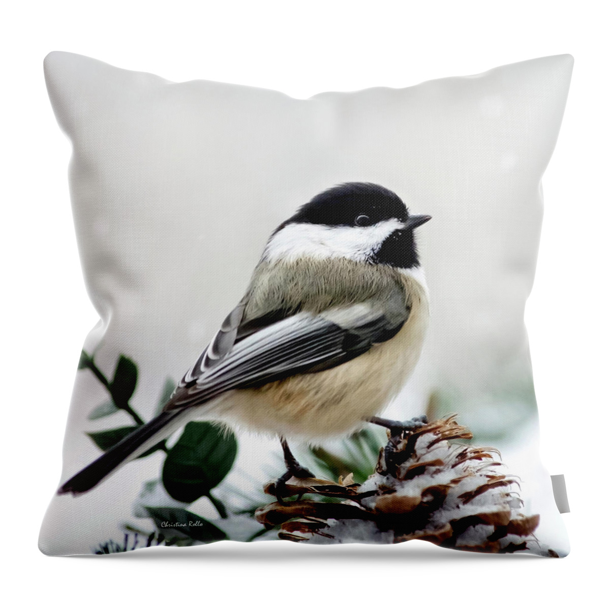 Winter Throw Pillow featuring the photograph Winter Chickadee Square by Christina Rollo