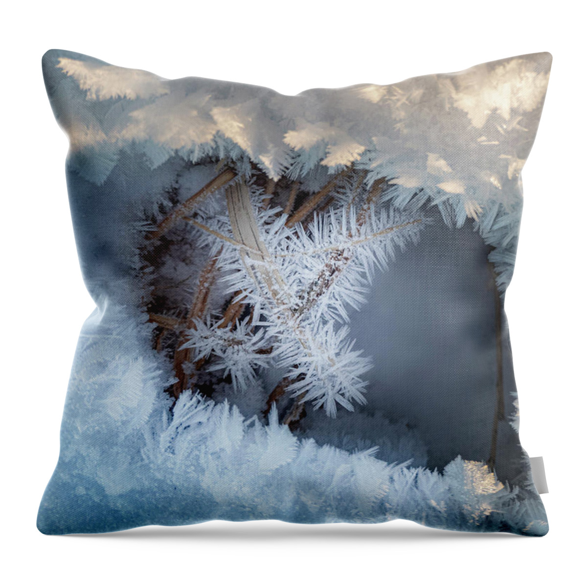Winter Throw Pillow featuring the photograph Winter Eye Pattern by Karen Rispin