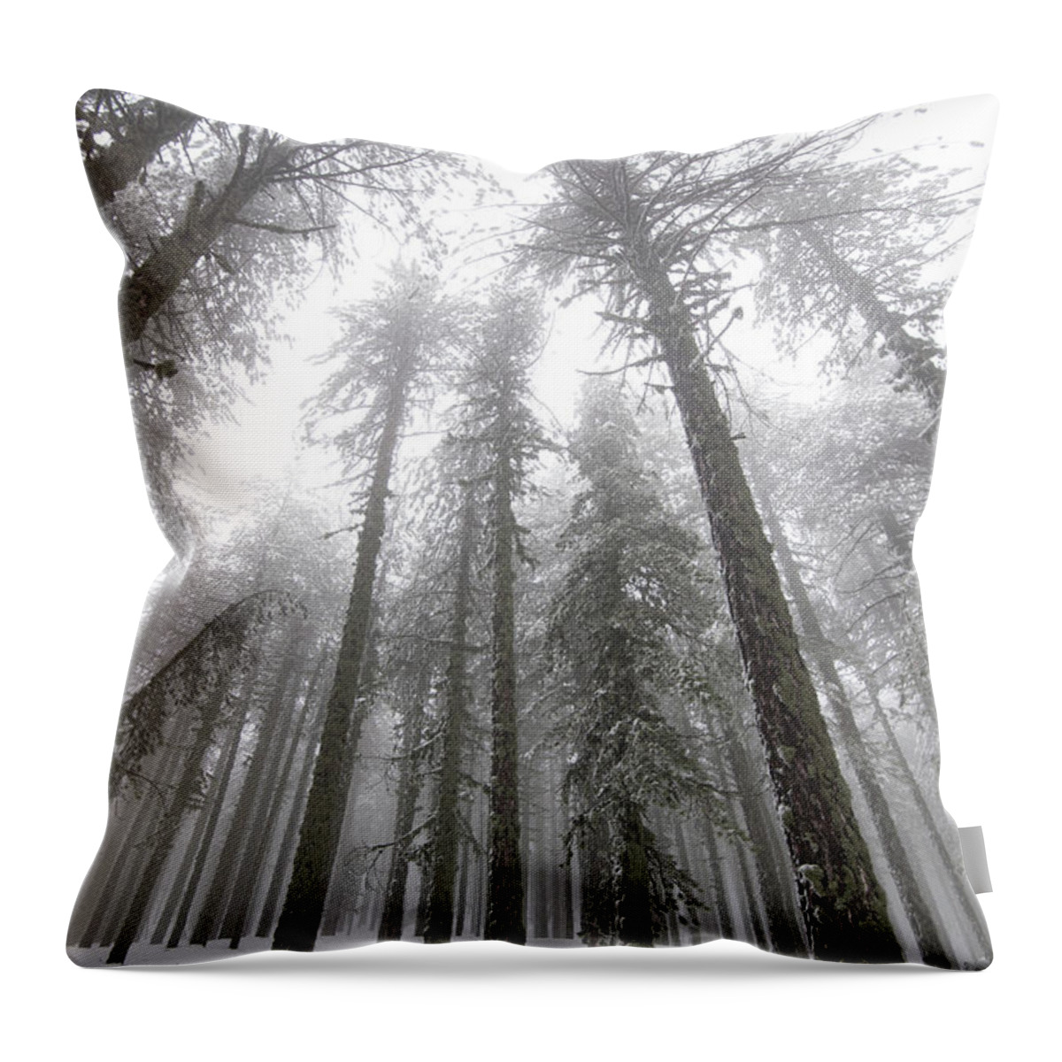 Winter Landscape Throw Pillow featuring the photograph Winter forest landscape with mountain covered in snow by Michalakis Ppalis