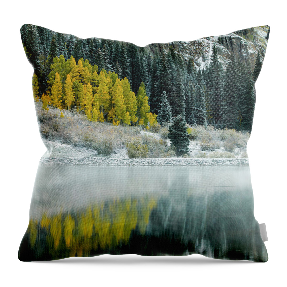 Winter Throw Pillow featuring the photograph Winter Fresh Fall by Wesley Aston
