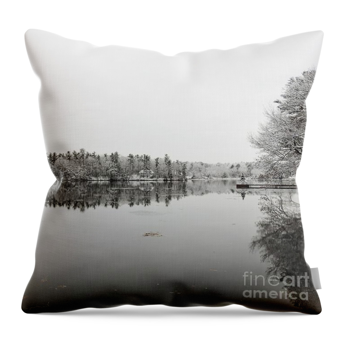 Winter Landscapes Throw Pillow featuring the photograph Winter in New Hampshire by Eunice Miller