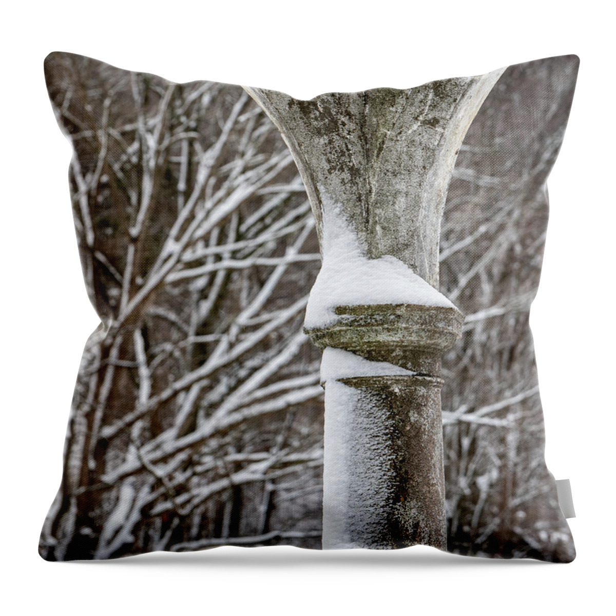 Tibbetts Brook Park Throw Pillow featuring the photograph Winter in Tibbetts Brook Park 3 by Kevin Suttlehan