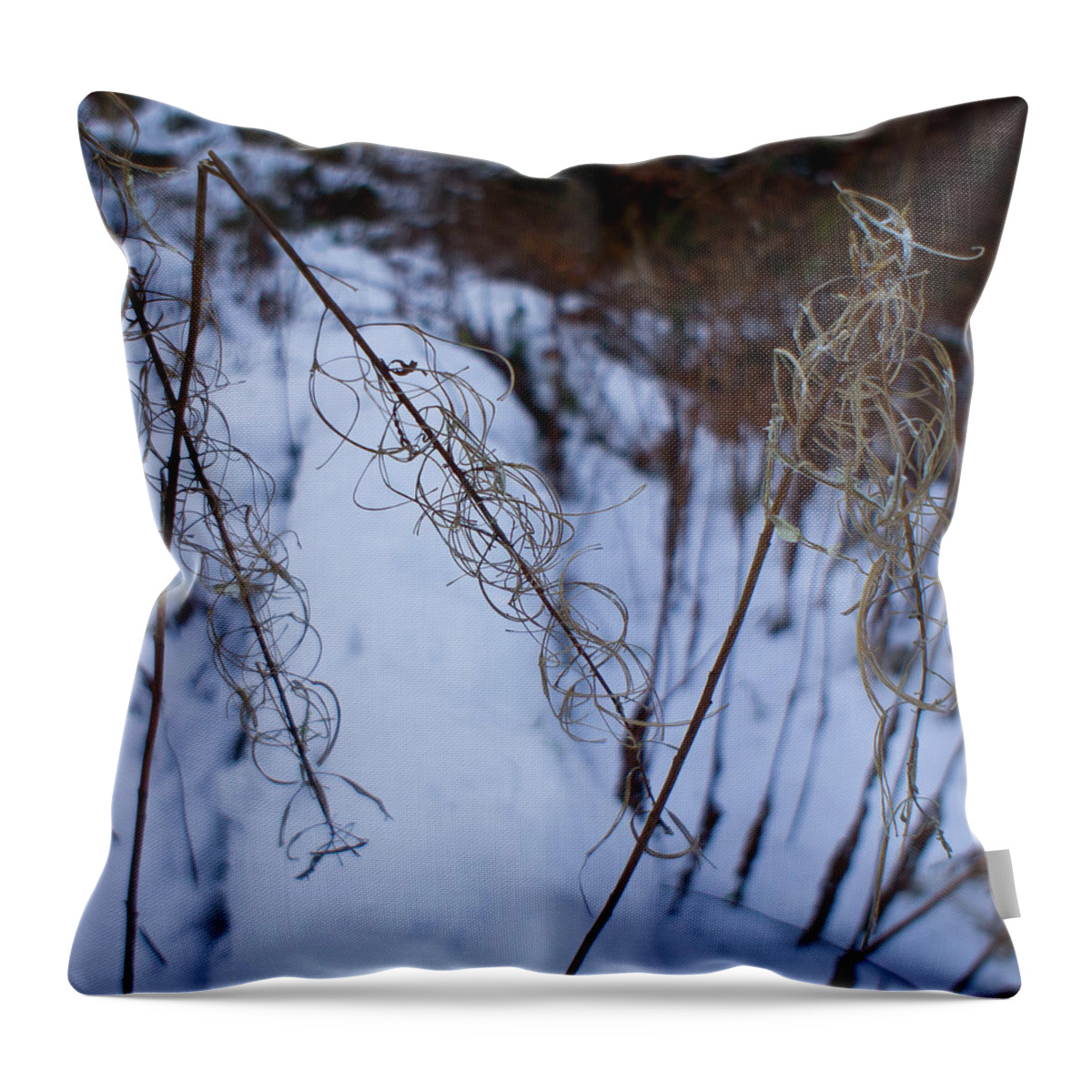 Rosebay Willowherb Throw Pillow featuring the photograph Winter of Fireweed by Elena Perelman