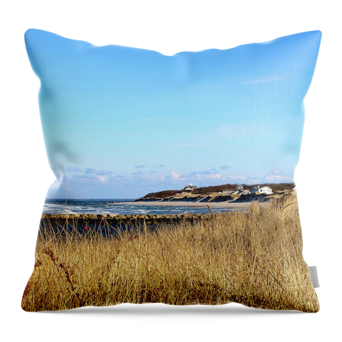 Winter Beach Throw Pillow featuring the photograph winter on Cape cod by Sue Morris