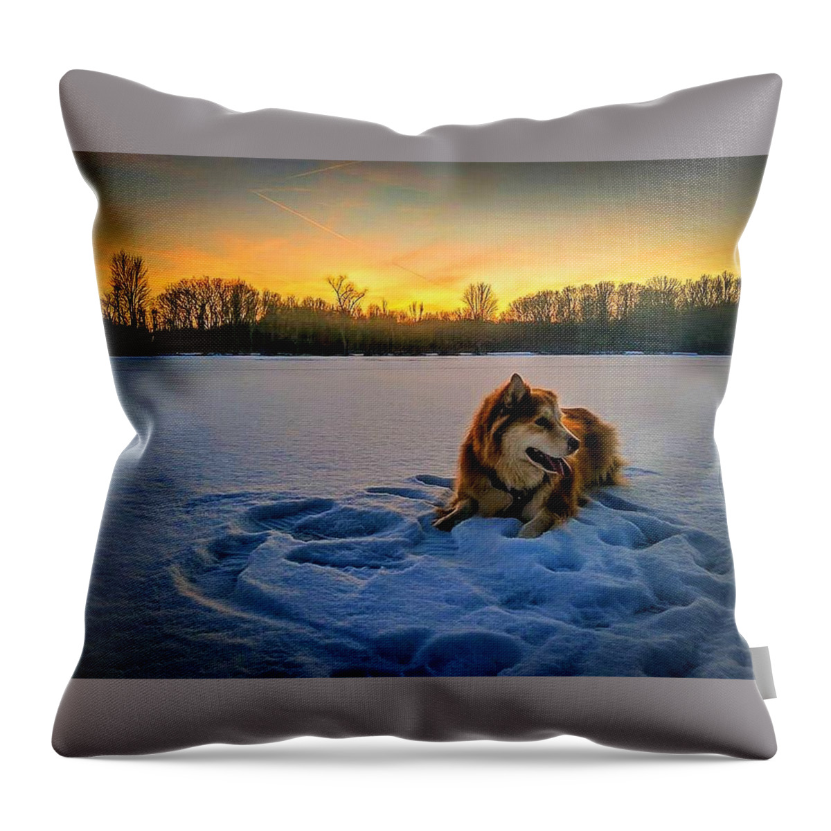  Throw Pillow featuring the photograph Winter Sunset by Brad Nellis