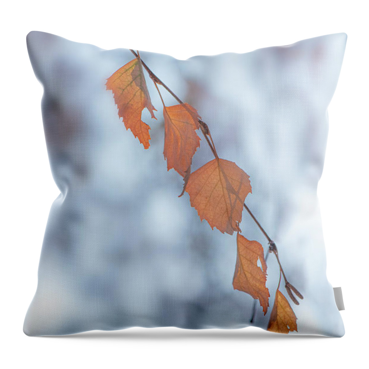 Winter Throw Pillow featuring the photograph Winter Weeping Birch Leaves by Karen Rispin