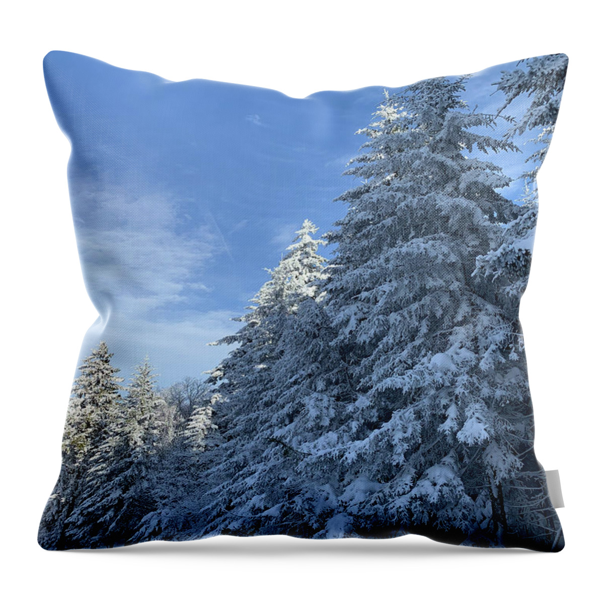  Throw Pillow featuring the photograph Winter Wonderland by Annamaria Frost