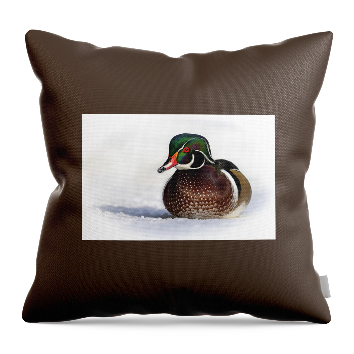 Duck Throw Pillow featuring the photograph Wood Duck in Snow by Bill Cubitt