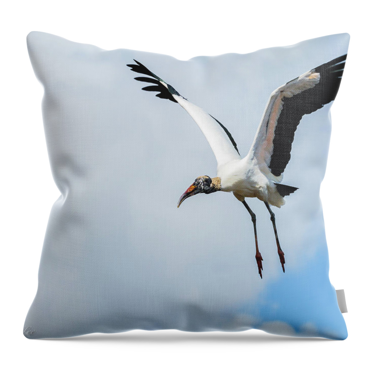 Birds Throw Pillow featuring the photograph Wood Stork by David Lee
