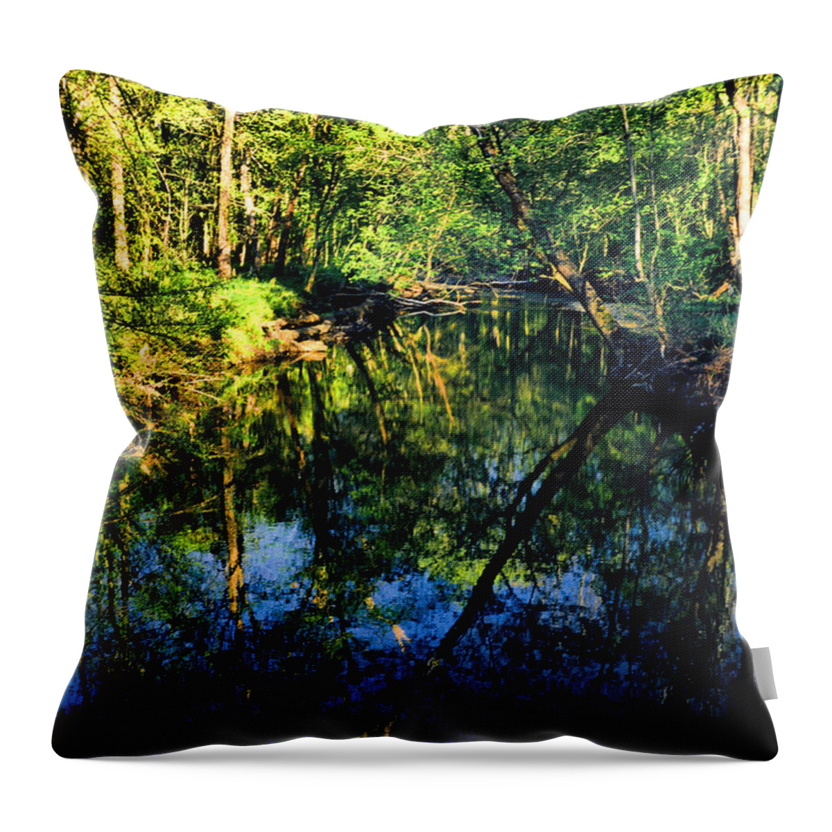 Tranquil Throw Pillow featuring the photograph Woodland Calm No.18 - Accotink Stream Reflections by Steve Ember