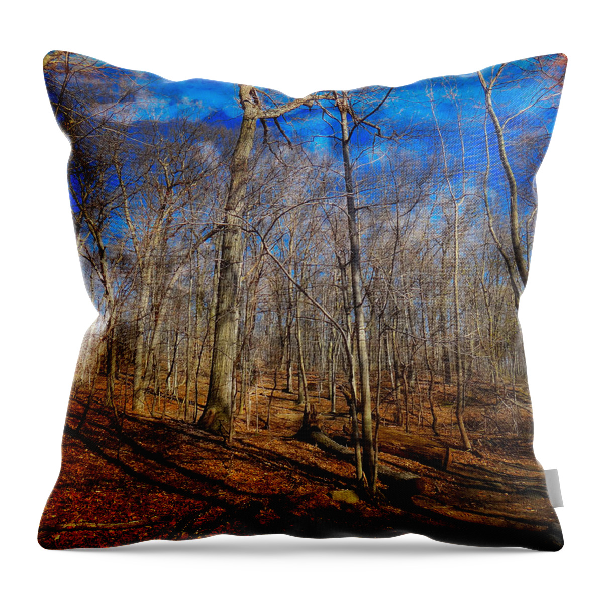 Woods Throw Pillow featuring the digital art Woods with Deep Blue Sky by Russ Considine