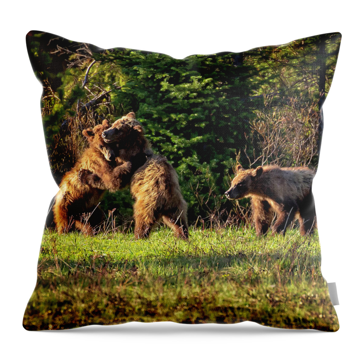Gary Johnson Throw Pillow featuring the photograph Wrestling Bears by Gary Johnson