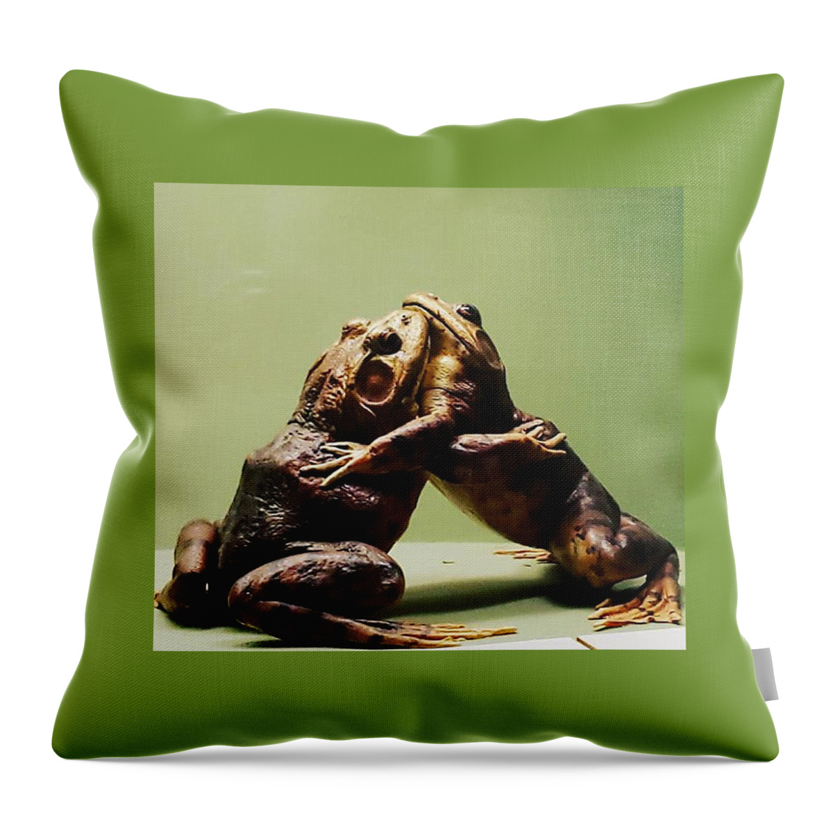 Hug Throw Pillow featuring the photograph Wrestling Hugging Frogs by Vicki Noble