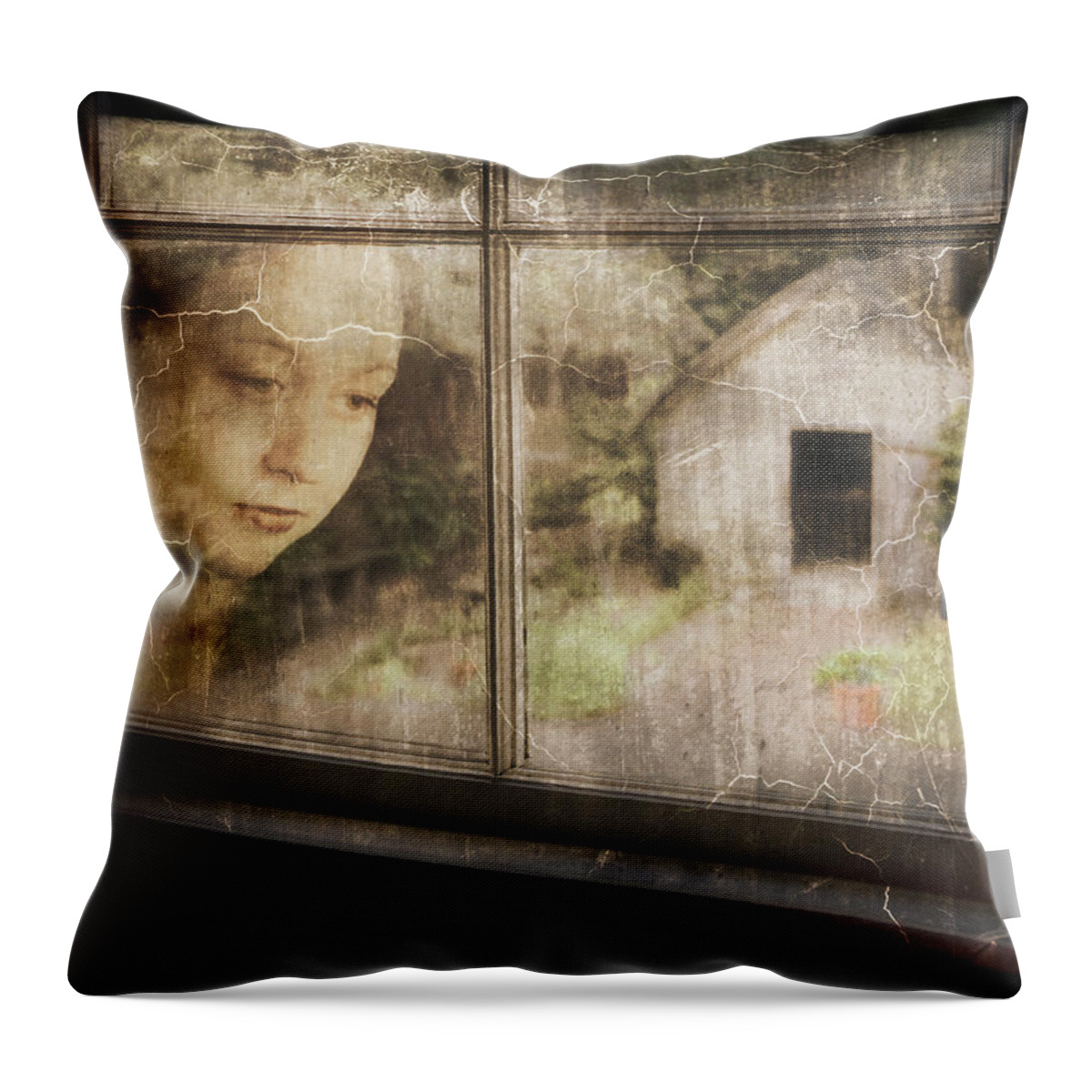 Saint Augustine Throw Pillow featuring the photograph Yearning by M Kathleen Warren