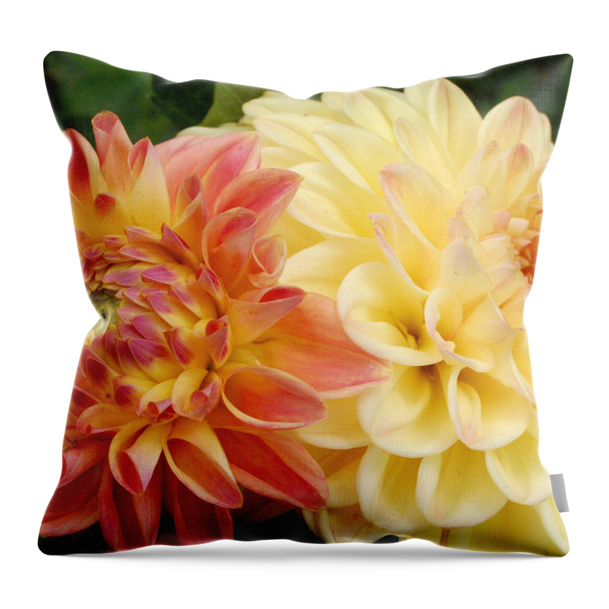 Dahlia Throw Pillow featuring the photograph Yellow and Orange Dahlias 1 by Amy Fose