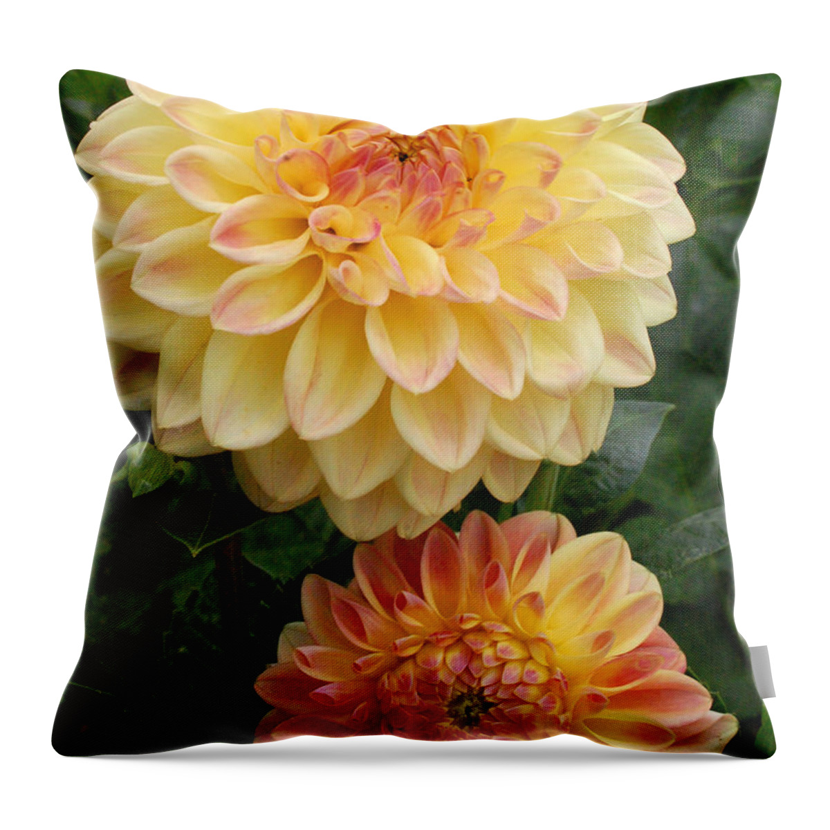 Dahlia Throw Pillow featuring the photograph Yellow and Orange Dahlias 2 by Amy Fose