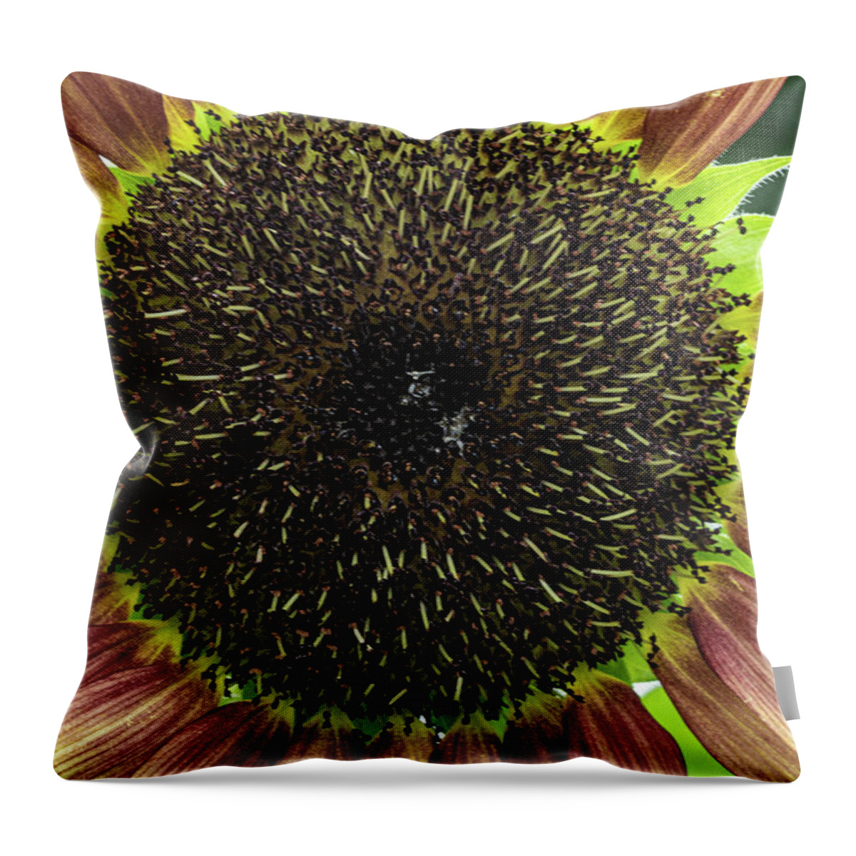 Yellow Red Flower Throw Pillow featuring the photograph Yellow and Red Flower by David Morehead