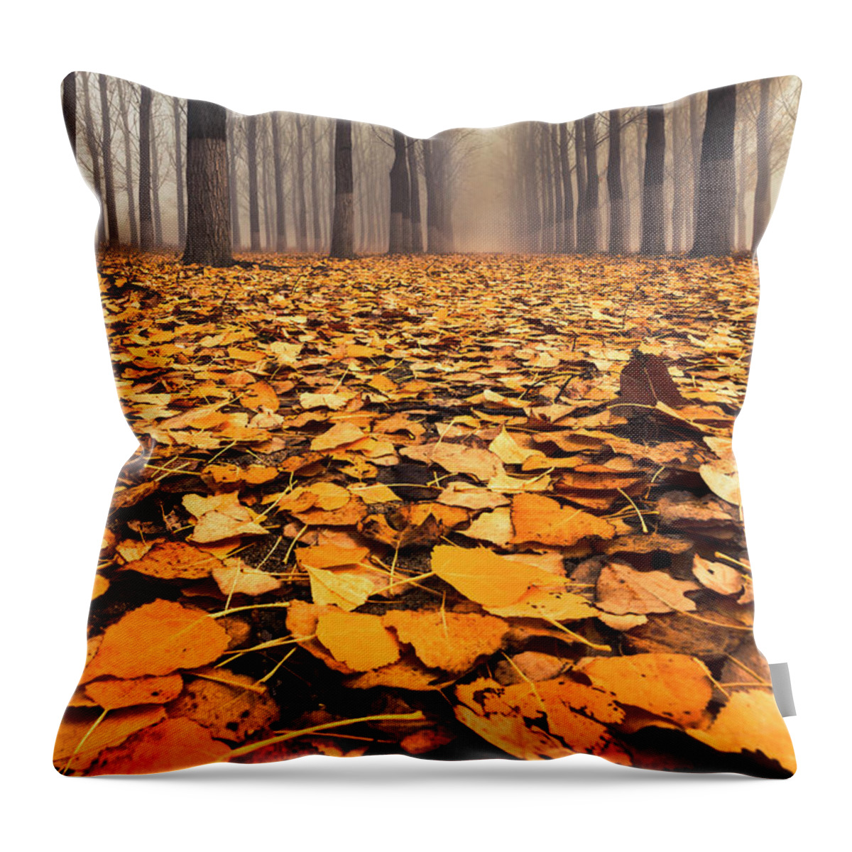 Bulgaria Throw Pillow featuring the photograph Yellow Carpet by Evgeni Dinev