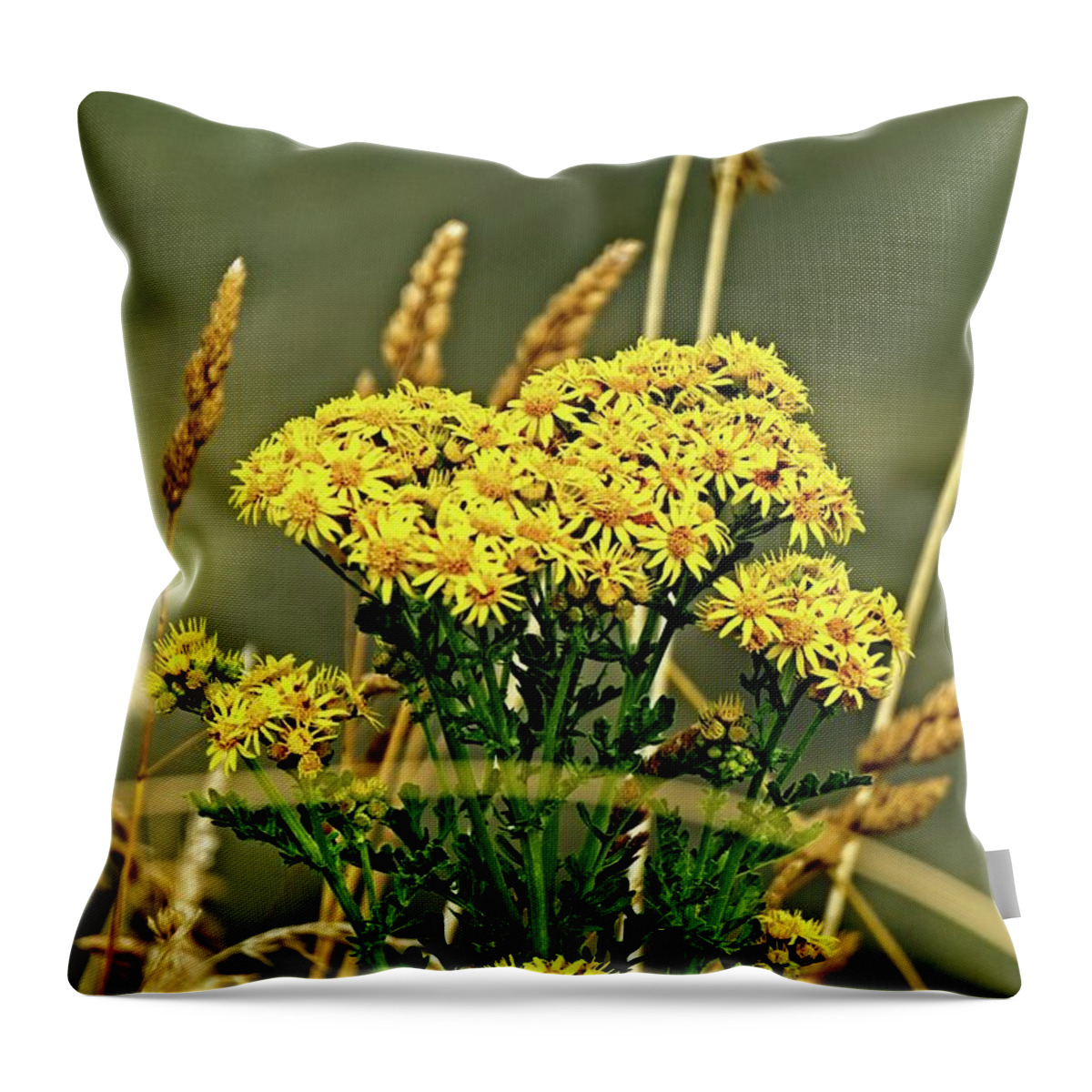 America Throw Pillow featuring the photograph Yellow Flowers, Brown Stalks by David Desautel
