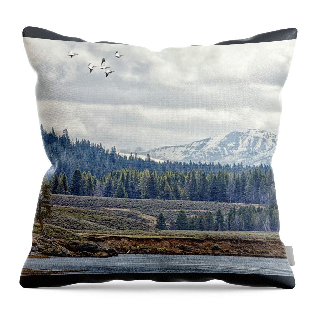 Pelican Throw Pillow featuring the photograph Yellowstone Flight by Natural Focal Point Photography