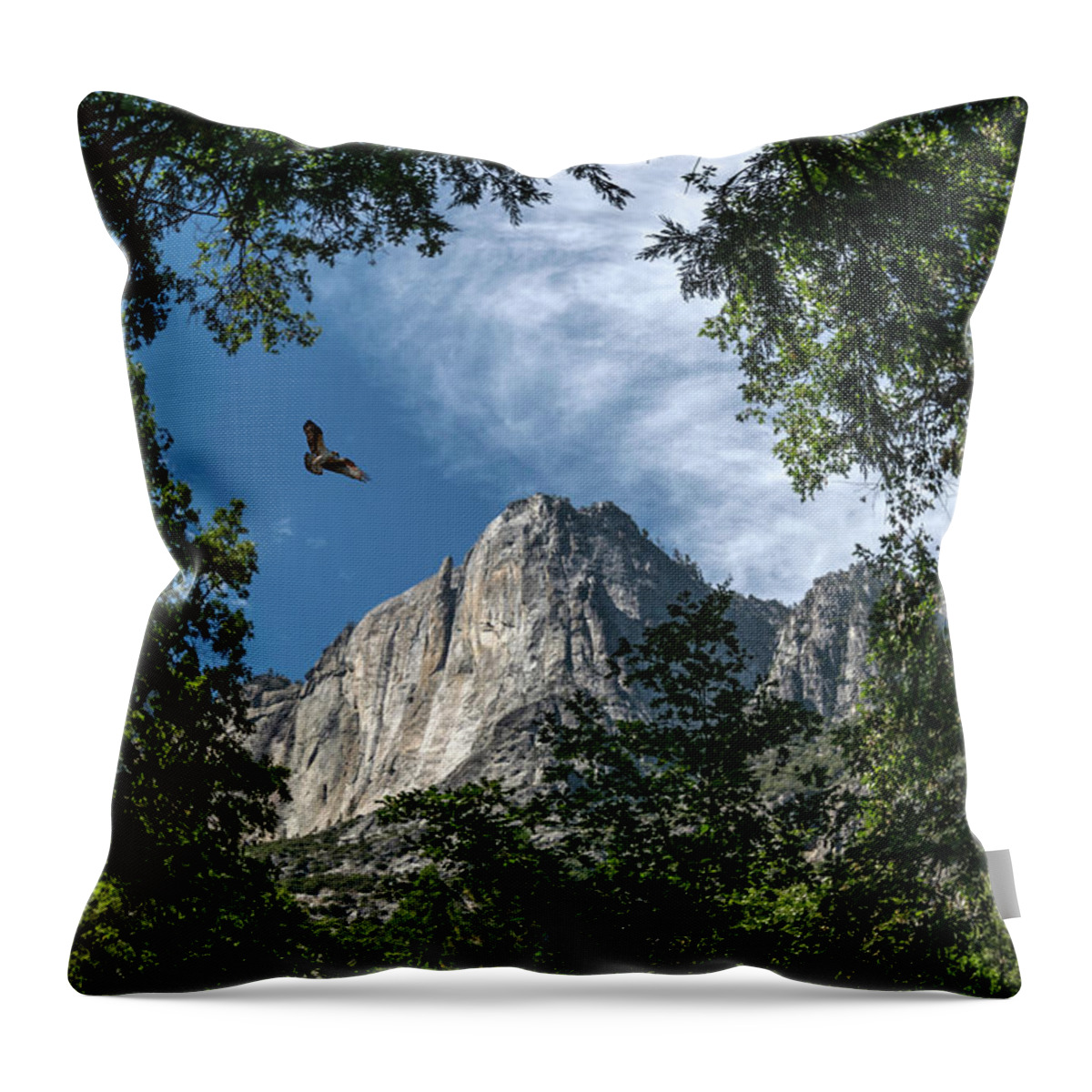 Landscape Throw Pillow featuring the photograph Yosemite Osprey by Romeo Victor