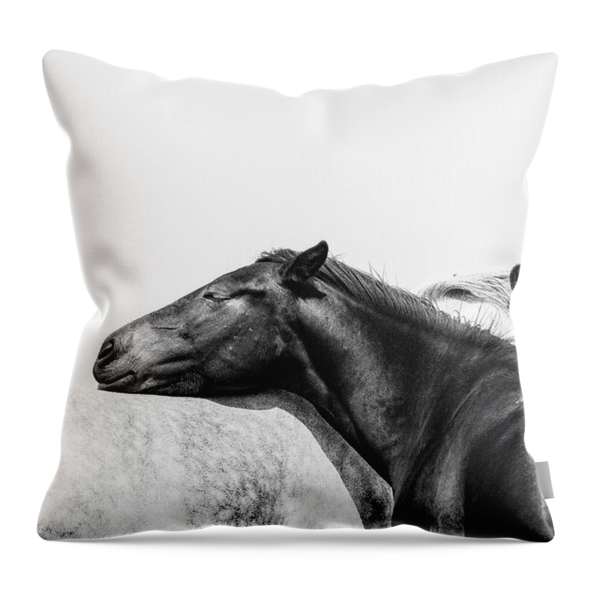 Photographs Throw Pillow featuring the photograph You Mean the World to me II - Horse Art by Lisa Saint