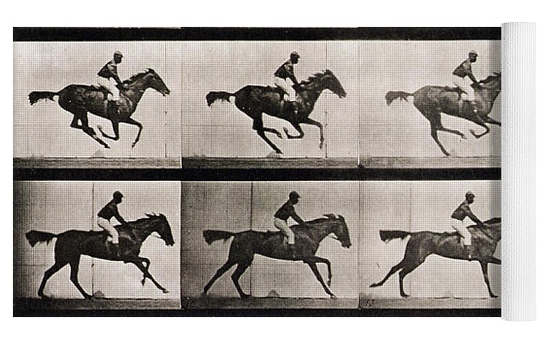 gallop Archives - AdorkaStock