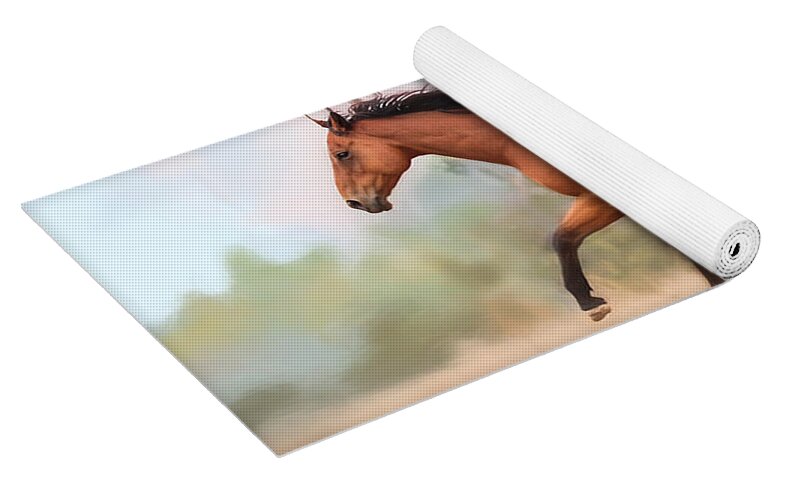 galloping thoroughbred horse michelle wrighton